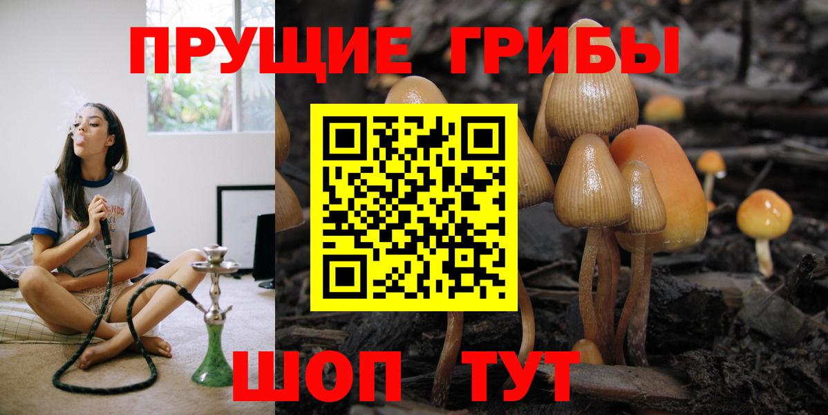Галлюциногенные грибы мухоморы Астрахань