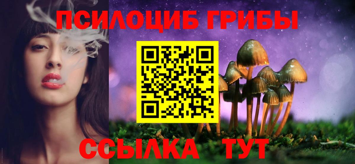 Астрахань  Галлюциногенные грибы мицелий  Галлюциногенные грибы Cubensis  Вход с VPN 